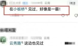 福建黑料网最新爆料事件,揭秘背后惊人真相